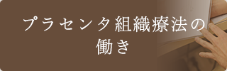 プラセンタ組織療法の働き